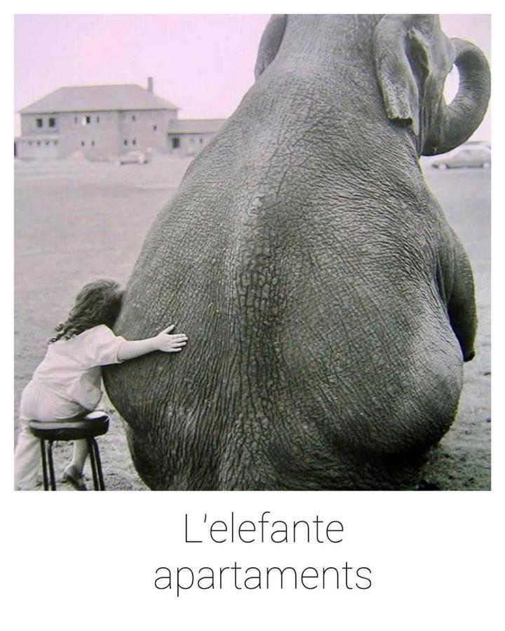 Elefante Appartamenti بيسكارا المظهر الخارجي الصورة